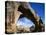 Hickman Natural Bridge, Capitol Reef National Park, Utah, USA-Charles Gurche-Stretched Canvas