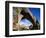 Hickman Natural Bridge, Capitol Reef National Park, Utah, USA-Charles Gurche-Framed Photographic Print