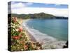 Hicks Bay, Eastland, New Zealand-David Wall-Stretched Canvas