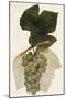 Wood Mount