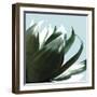 Hidalgo-Malcolm Sanders-Framed Giclee Print