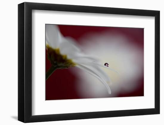 Hidden and exposed-Heidi Westum-Framed Photographic Print