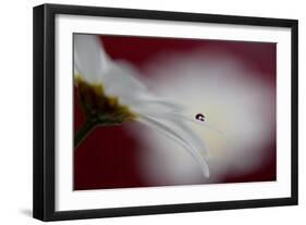 Hidden and exposed-Heidi Westum-Framed Photographic Print