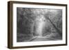 Hidden Coastal Highway, Redwood Coast California-Vincent James-Framed Photographic Print