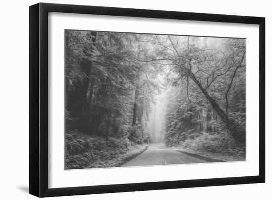 Hidden Coastal Highway, Redwood Coast California-Vincent James-Framed Photographic Print
