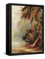 Hidden Cove-Malarz-Framed Stretched Canvas