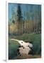 Hidden Creek-Tim O'toole-Framed Giclee Print