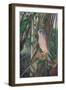 Hidden Enemy-Karie-Ann Cooper-Framed Giclee Print