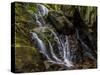 Hidden Falls-Brenda Petrella Photography LLC-Stretched Canvas