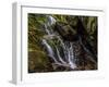 Hidden Falls-Brenda Petrella Photography LLC-Framed Giclee Print