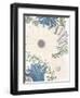 Hidden Floral I-Elizabeth Medley-Framed Art Print