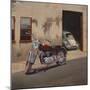 Hidden Garage-Joseph Cates-Mounted Art Print