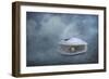 Hidden Gem-Jai Johnson-Framed Giclee Print