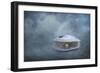 Hidden Gem-Jai Johnson-Framed Giclee Print