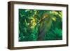 Hidden Green-Steve Hunziker-Framed Art Print