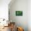 Hidden Green-Steve Hunziker-Mounted Art Print displayed on a wall