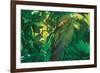 Hidden Green-Steve Hunziker-Framed Art Print