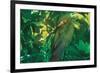 Hidden Green-Steve Hunziker-Framed Art Print