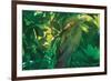 Hidden Green-Steve Hunziker-Framed Art Print