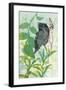 Hidden In My Garden-Trudy Rice-Framed Art Print