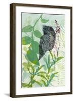 Hidden In My Garden-Trudy Rice-Framed Art Print