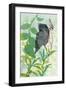 Hidden In My Garden-Trudy Rice-Framed Art Print