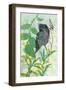 Hidden In My Garden-Trudy Rice-Framed Art Print