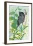 Hidden In My Garden-Trudy Rice-Framed Art Print