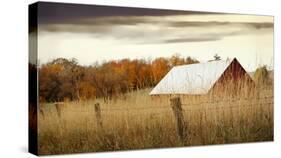 Hidden in the Tall Grasses-Don Schwartz-Stretched Canvas