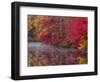 Hidden Lake, Pennsylvania, USA-Jay O'brien-Framed Photographic Print