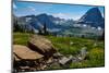 Hidden Lake Trail, Glacier National Park, Montana, Usa-brizardh-Mounted Photographic Print