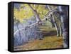 Hidden Lake Treasures-Rusty Frentner-Framed Stretched Canvas