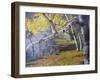 Hidden Lake Treasures-Rusty Frentner-Framed Giclee Print