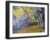 Hidden Lake Treasures-Rusty Frentner-Framed Giclee Print