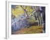 Hidden Lake Treasures-Rusty Frentner-Framed Giclee Print