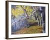 Hidden Lake Treasures-Rusty Frentner-Framed Giclee Print