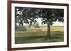 Hidden Pasture-Megan Lightell-Framed Art Print