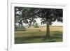 Hidden Pasture-Megan Lightell-Framed Art Print