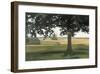 Hidden Pasture-Megan Lightell-Framed Giclee Print