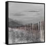 Hidden Pier (dark gray)-Patricia Pinto-Framed Stretched Canvas