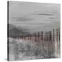 Hidden Pier (dark gray)-Patricia Pinto-Stretched Canvas