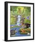 Hidden Pond Magic-Art and a Little Magic-Framed Giclee Print