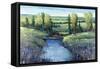 Hidden Pond-Tim O'toole-Framed Stretched Canvas