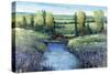 Hidden Pond-Tim O'toole-Stretched Canvas