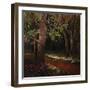 Hidden Stream Forest-Tim O'toole-Framed Giclee Print