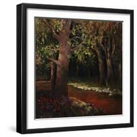 Hidden Stream Forest-Tim O'toole-Framed Giclee Print