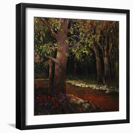 Hidden Stream Forest-Tim O'toole-Framed Giclee Print