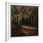 Hidden Stream Forest-Tim O'toole-Framed Giclee Print