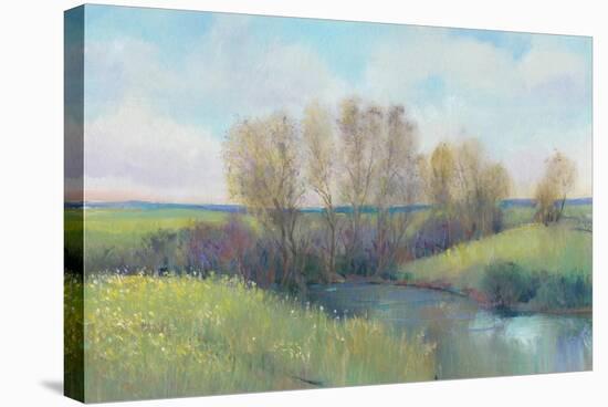 Hidden Stream II-Tim O'toole-Stretched Canvas