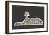 Hidden Technology inside the Sphinx-RYGER-Framed Art Print